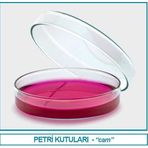 İsolab 081.01.120 Petri Kutusu - Cam - 120 X 20 Mm (18 Adet)