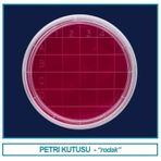 İsolab 081.04.060 Petri Kutusu Rodak - 60 Mm - Steril A (500 Adet)