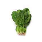 Ispanak Matador Tohumu Paket 10 Gram