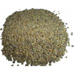 Ispanak Tohum Tane 50 gr - 1 Adet
