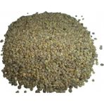 Ispanak Tohum Tane 500 gr