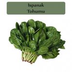 Ispanak Tohumu 1 Paket Matador Ispanak Tohumu Kapalı Paket Yüksek Verimli Tohum