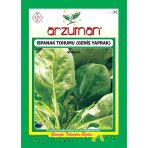 Ispanak Tohumu Ithal (Matador Çeşidi) 25 Gr