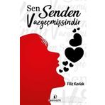 İSTANBULDAN ÇIKIŞ MILLI MÜCADELEYE GİRİŞ - ALI ARSLAN