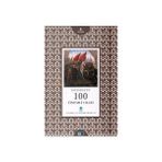 İSTANBUL'UN 100 ÖNEMLİ OLAYI - MESUT AYAR