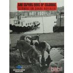 İSTANBUL'UN SOKAK KÖPEKLERİ - ARIF AŞÇI