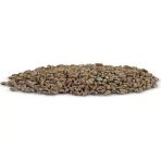 İstiridye Mantar Tohum 1 Kilo
