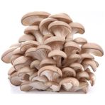 Istiridye Mantarı Tohumu Kavak - Kayın - Yaprak 3 kg