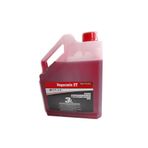 İtal İtal Iki Zamanlı 2t Motor Yağı 3 Lt