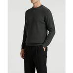 Italyan Stil Slim Fit Erkek Bisiklet Yaka Triko Kazak Antrasit T13132