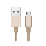 iTechCover Örgülü USB Kablosu Şarj Kablosu/Şarj Cihazı Güç Kablosu Urbanista Seattle Kablosuz Kulaklıklarla Uyumlu/Altın / (1 m / 3,3 ft)