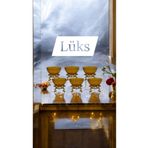 İthal 6 lı Lux Gold Ayaklı Mini Kase,Sosluk ,Çerezlik,Reçellik, Sunum,Şekerlik ,Lokumluk Kahve Yaniı