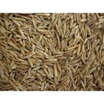 İthal Çim Tohumu 1 KG