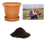Ithal Dev Çilek Tohumu Ekim Seti