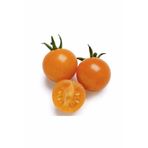 İthal Nadit Cherry Turuncu Domates Tohumu 10 Adet Tohum