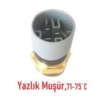 İthal Opel Vectra B Yazlık Radyatör Fan Müşürü,1341042