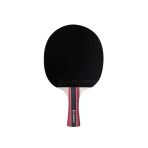 Ittf Onaylı Masa Tenisi Raketi İle Performansınızı Artırın