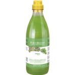 Iv San Bernard Mint Shampoo Canlandırıcı ve Onarıcı Naneli 500 ml Kedi Köpek Şampuanı