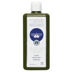 IVA NATURA Organik Renk Koruyucu Siyah Şampuan, Isırgan Otu ve Siyah Ceviz Özlü, Boyalı Saçlar İçin Doğal Renk Koruma, Parabensiz ve Glutensiz, 350 ML