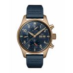 IWC IW388109 Erkek Kol Saati