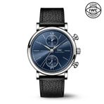 IWC IW391408 Erkek Kol Saati