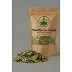 ixirciyusuf Yaban Mersini Yaprağı (Blueberry Leaf – Bilberry Leaf – Vaccinium Myrtillus) Kurutulmuş Bitki Çayı 100 G – Doğal - 100 gr