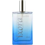 Ixora Fort E285 EDP 100 ml Erkek Parfüm