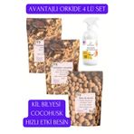 İYİBAHÇE 500ml İlkGün Etkili Bitki Besini-Cocohusk 1 L (2adet)-Kil Bilyesi 1 L