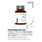 izderma 4m Kapsül (ahcc Shiitake Mantarı, Reishi Mantarı Içeren Takviye Edici Gıda )