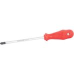 İzeltaş 6x100 Pz2 Opak Seri Pozidriv Yıldız Uçlu Tornavida