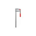 Izeltaş 7300301012 Işkence (Marangoz Mengenesi Plastik Ağızlı) 100X12 - Gri