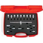 İzeltaş Izeltaş 1113 Lokmalı Allen Uç ve Star Torx Uç Takımı 17 Parça - 1113006017