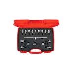 İzeltaş IZELTAS 1/2 1/2 Lokmalı Allen ve Torx Uç Takımı 17 Parça