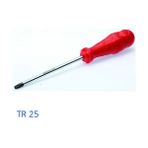 İzeltaş TR25 Delikli Torx Uçlu Tornavida