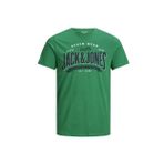 Jack & Jones 12133188 Tristan Premium Tee SS Erkek T-shirt