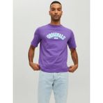 Jack & Jones 12232256-Deep Joreuphorı Tee Ss Crew Neck Tg Mor Erkek T-shirt