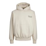 Jack & Jones 12244773 Jorgracia Graphic Sweat Hood LN Kırık Beyaz Erkek Sweatshirt