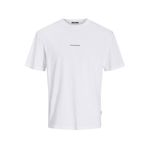 Jack & Jones 12255525 Raruba Landscape Beyaz Erkek T-shirt