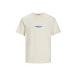 Jack & Jones 12255557 Erkek T-shirt