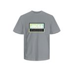 Jack & Jones 12259908 Erkek T-shirt