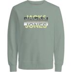 Jack & Jones 12267544 Jcoray Color Sweat Crew Neck Fst Erkek Sweatshirt - XS