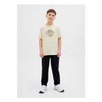 Jack & Jones Baskılı Taş Erkek Çocuk T-Shirt 12278350