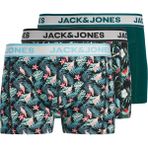 Jack & Jones Bird Leaves Erkek 3'lü Boxer (12291168-BDT) - Renkli - M