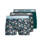Jack & Jones Bird Leaves Erkek 3'lü Boxer (12291168-BDT)