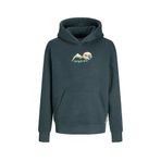 Jack & Jones Erkek Çocuk Füme Sweatshirt Jorsılverlake Sweat Hood Jnr, 12 Yaş