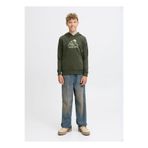 Jack & Jones Erkek Çocuk Sweatshirt, Koyu Yeşil, 10 Yaş