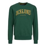 Jack & Jones Erkek Çocuk Sweatshirt, Koyu Yeşil, 12 Yaş