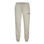 Jack & Jones Erkek Eşofman Altı 12268878, Moonbeam, M