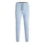 JACK & JONES Erkek eşofman altı, dar kesim, eşofman altı, Mountain Spring/Detay: melanj, L