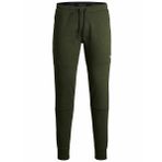 JACK & JONES Erkek eşofman altı, dar kesim, eşofman altı, Yeşil (Deep Lichen Green), XXL